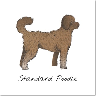 standard Poodle Posters and Art